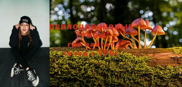 MESCALINE Белокуриха